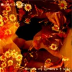 Aidan Baker : Songs of Flowers & Skin